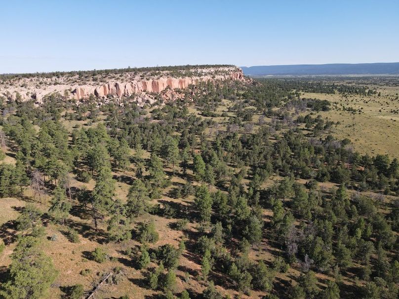 dji_fly_20240816_084832_586_1723819896240_photo