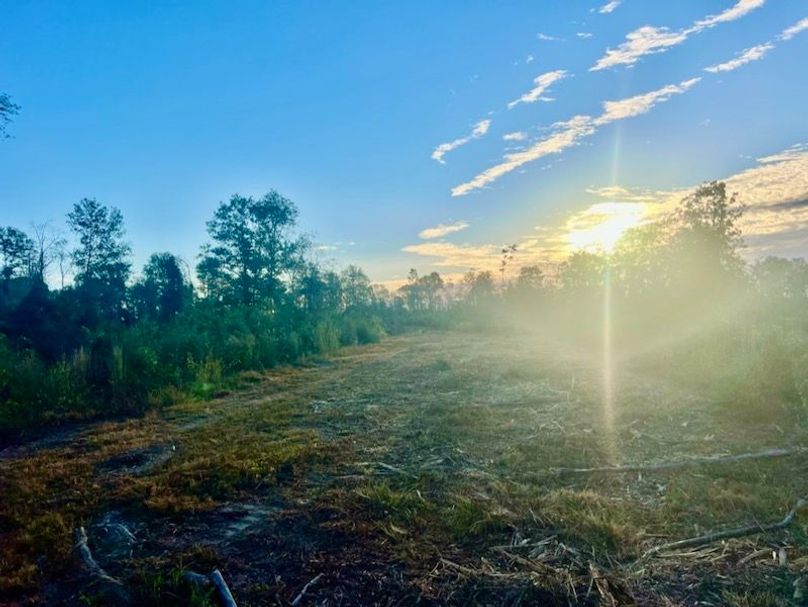 D616F95F-7C55-4987-8089-41216E6161D6_1_105_c