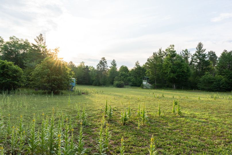 Ogemaw MI 475 Featured Pro Photo-742208