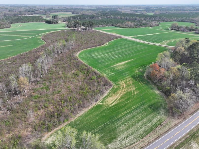 DJI_20260303062804_0521_D