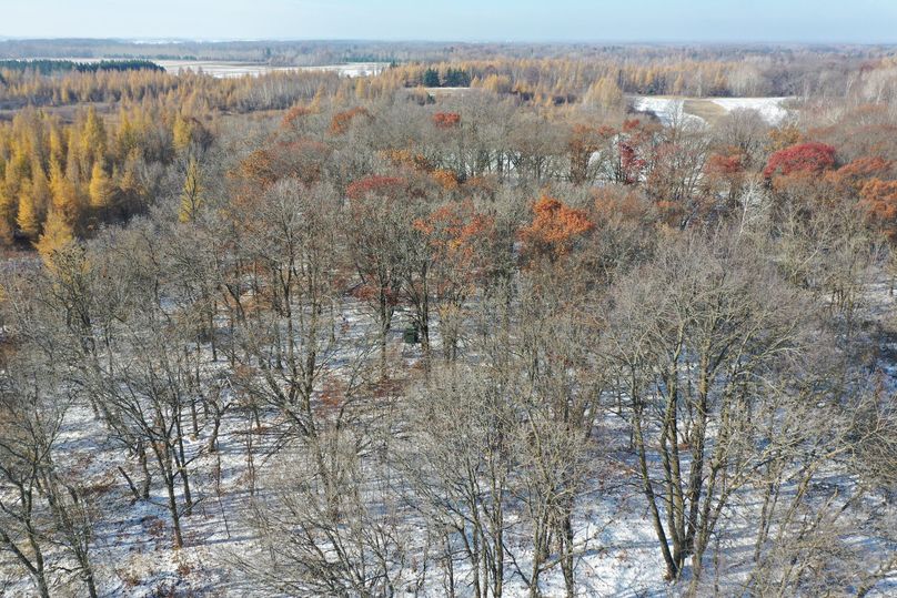 DJI_0595