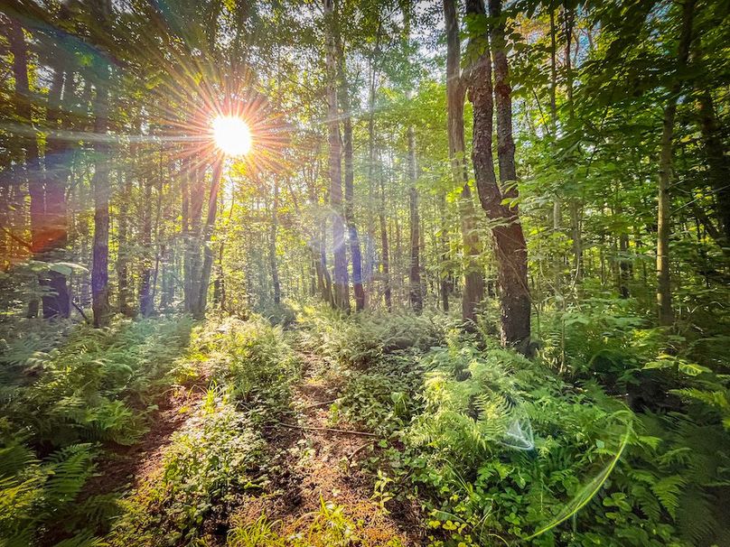 Jefferson_53.29_Johnson_Photos_42