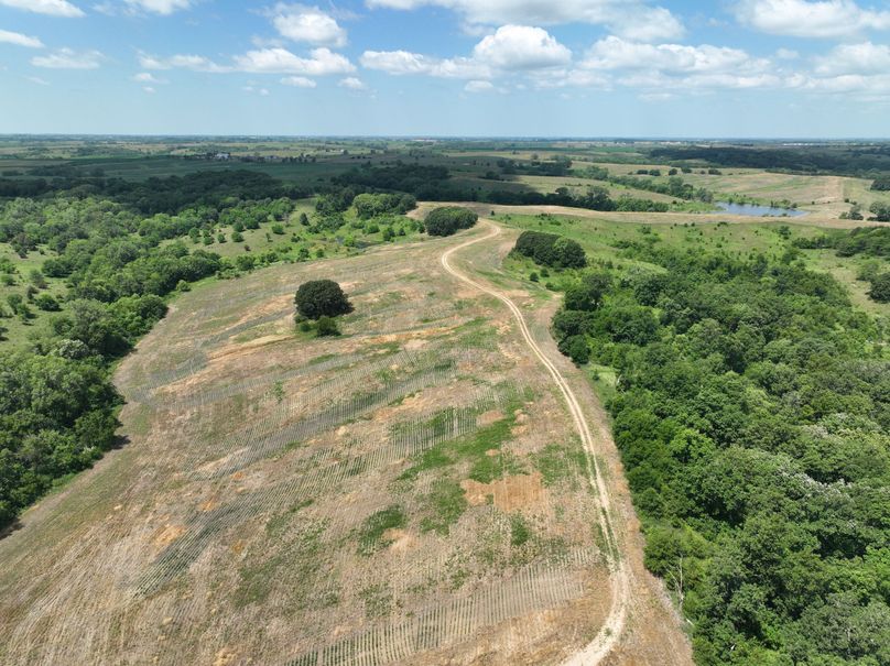 dji_fly_20230625_120532_474_1687717482536_photo