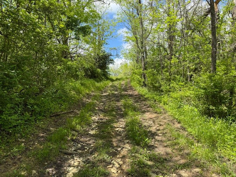 030 transition road between fields, for tractors or UTV