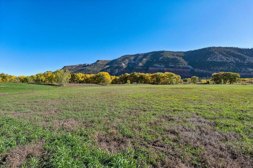 13-web-or-mls-26068 US 550 -13