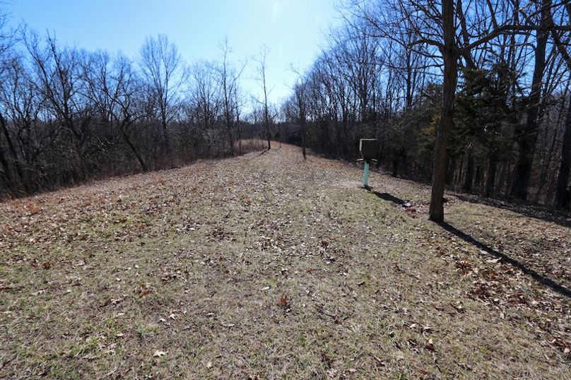 019 the feeder along near the middle of the property