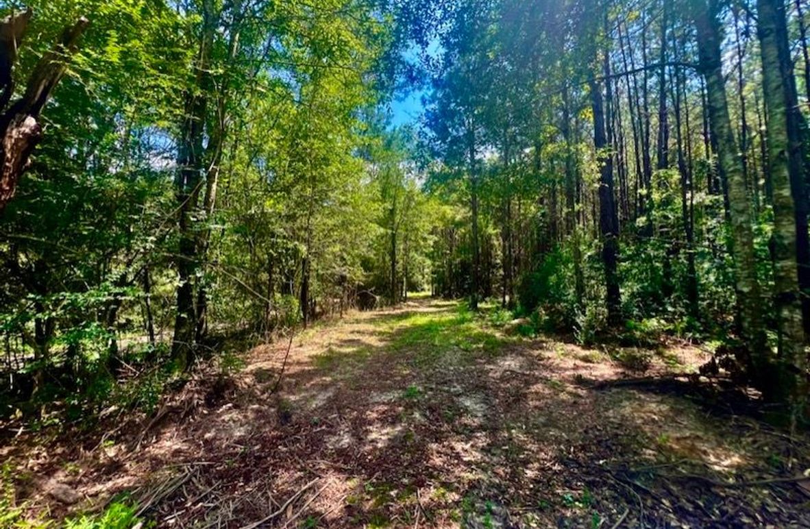 4C31ED20-4AF9-4C44-B477-98B9A79EC9AD_1_105_c