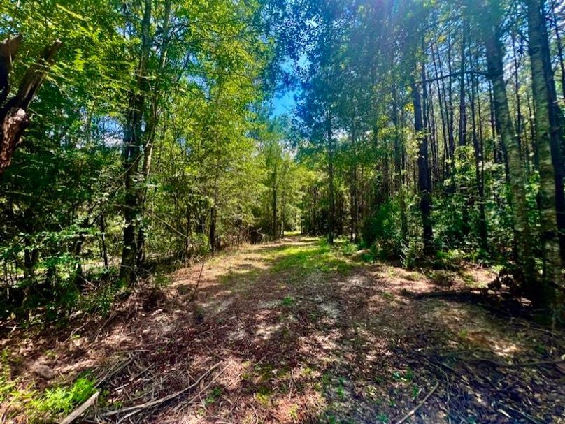 4C31ED20-4AF9-4C44-B477-98B9A79EC9AD_1_105_c