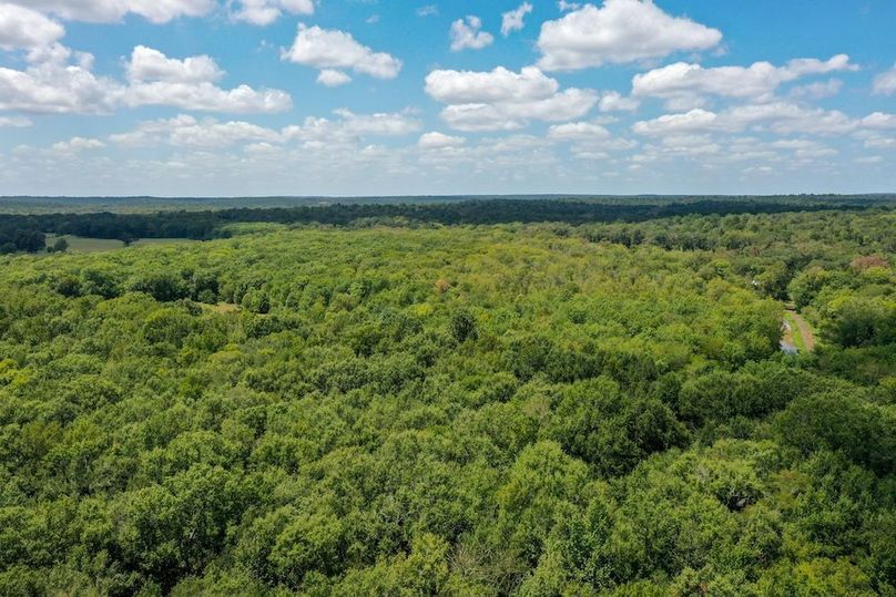 20 Leon Co. 117ac-44