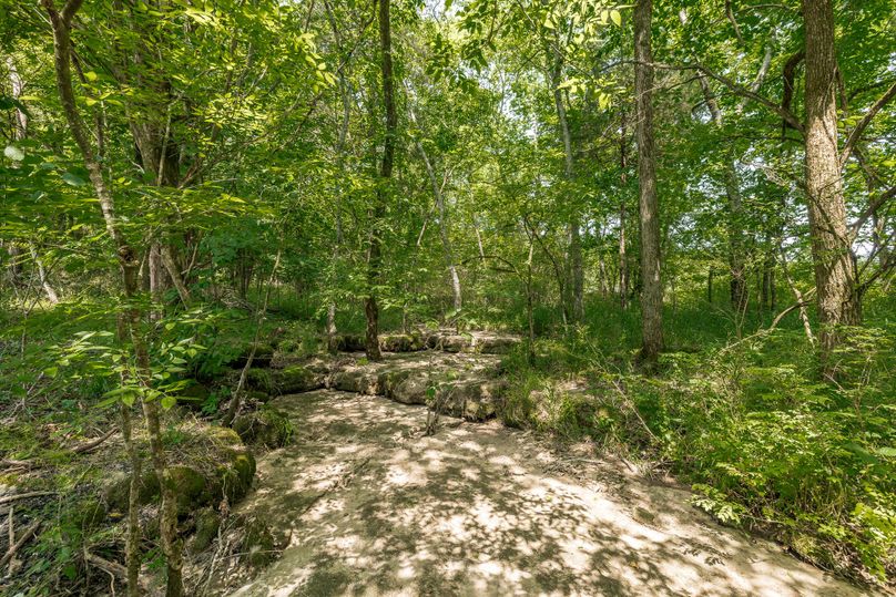 3892 Carters Branch Rd-146