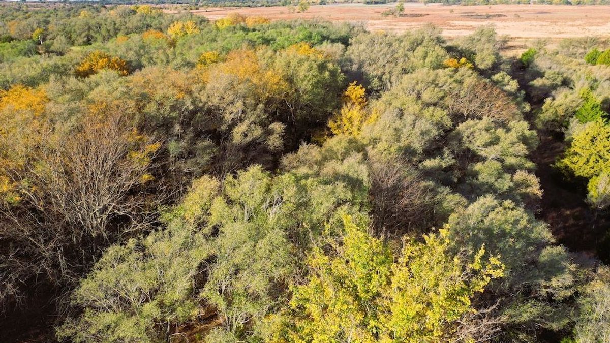 Excellent Hunting Tract In Oklahoma Whitetail Properties