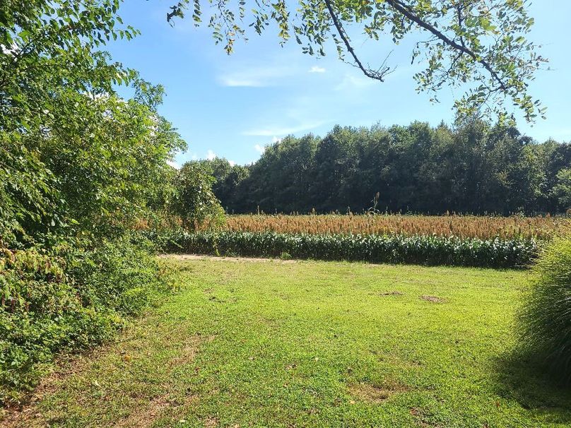 31.40ac_QAnnes_PIC_005