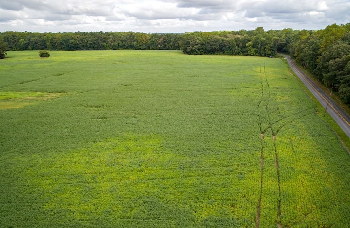 Copy of 4_Salisbury_MD_101.27AC