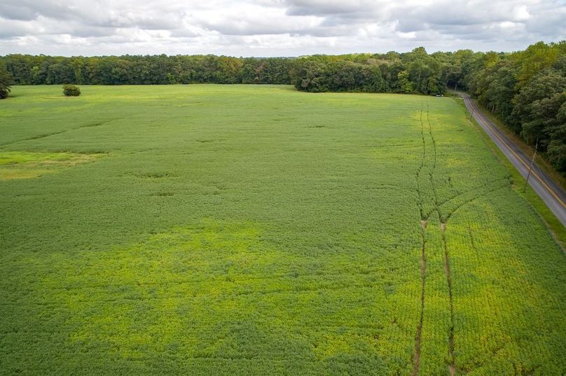 Copy of 4_Salisbury_MD_101.27AC