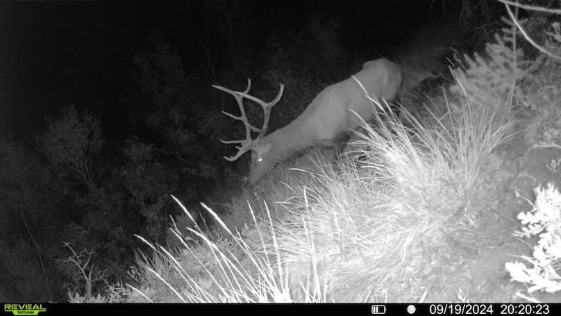 016578000756376-37-3-09192024202023-SYFW00029