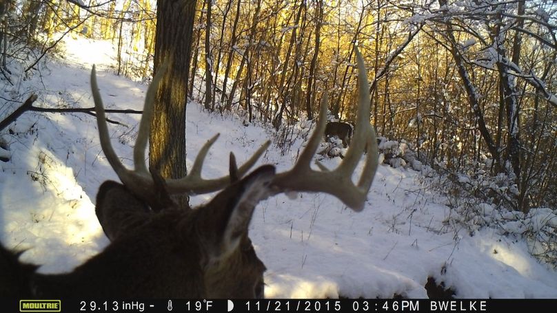 Deer Cam Tracker Pic. 527