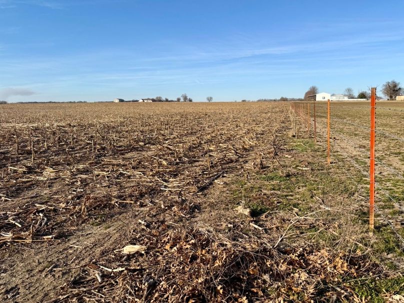 Copy of IMG_7182 Large