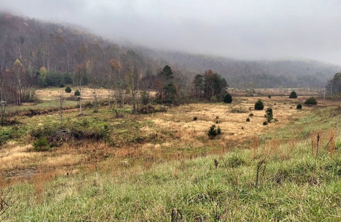 004 foggy morning in the main valley-2