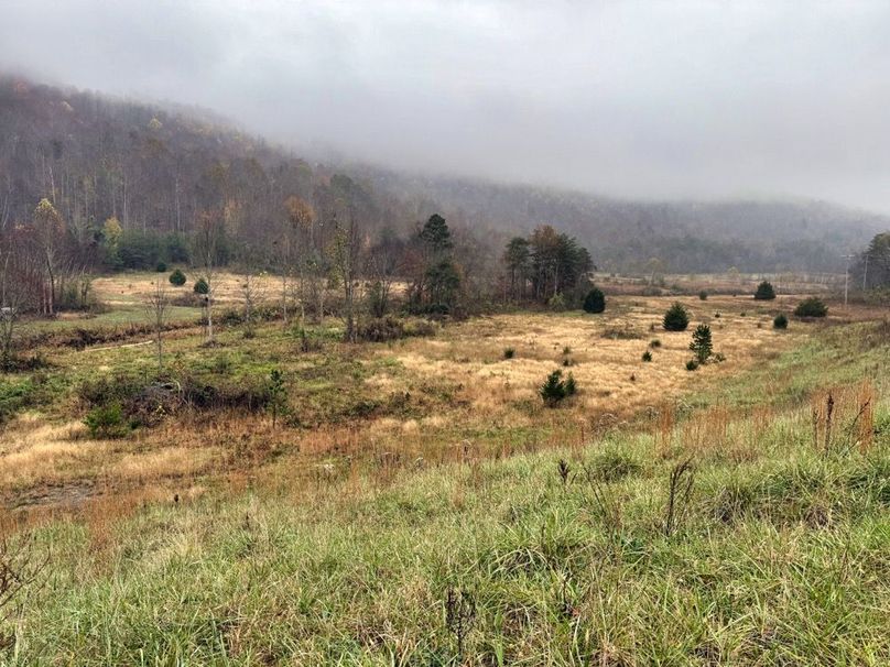 004 foggy morning in the main valley-2