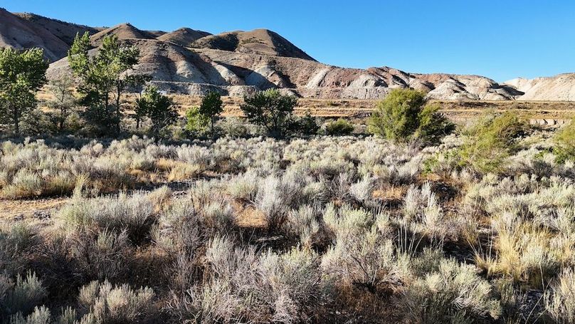 Salina Creek Acreage with Water Rights39