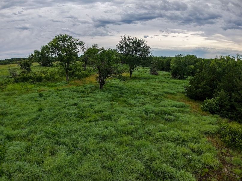 DJI_20250630073403_0340_D