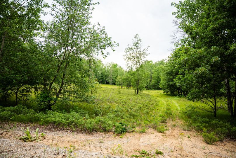 Ogemaw MI 475 Featured Pro Photo-742227