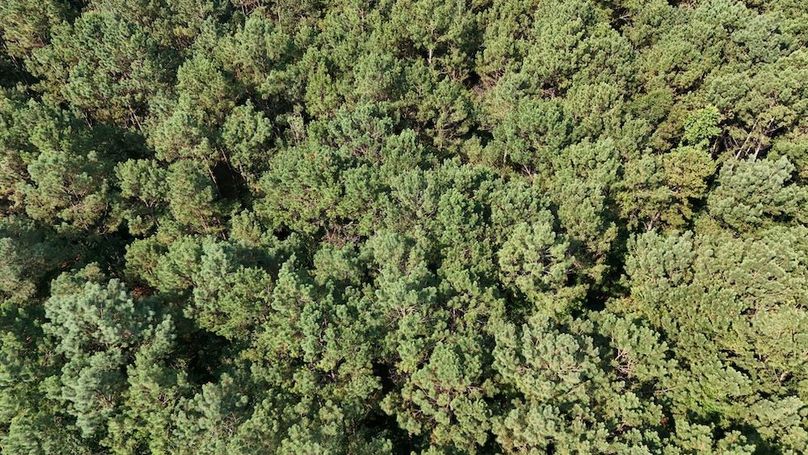 DJI_20250627100131_0120_D