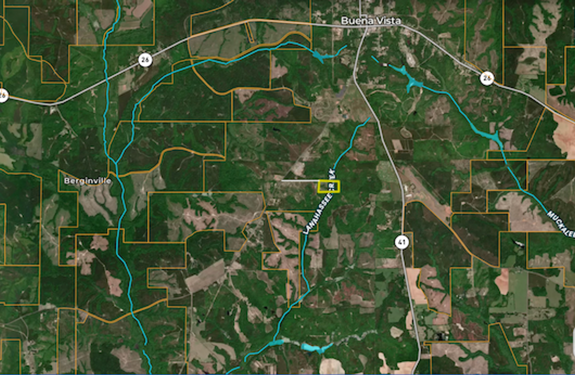 Screenshot 2025-08-04 at 11.42.12 AM