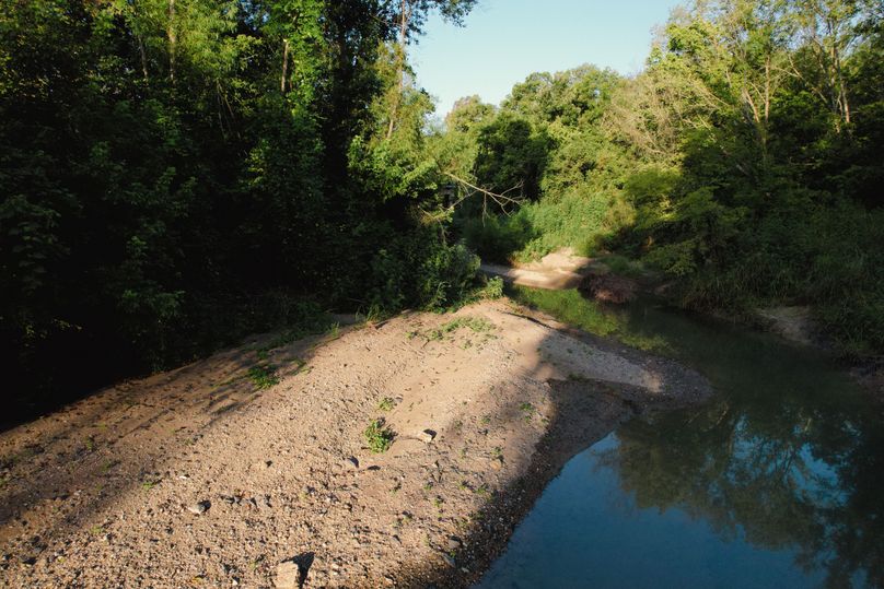 Fannin 37 Acres-06