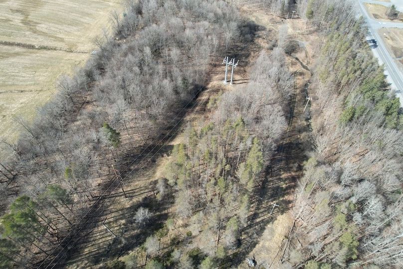 Lewis_26_Somberg Photo 40