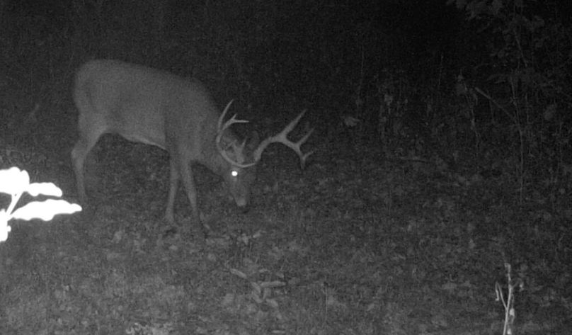 SCRN_1496244804757 copy