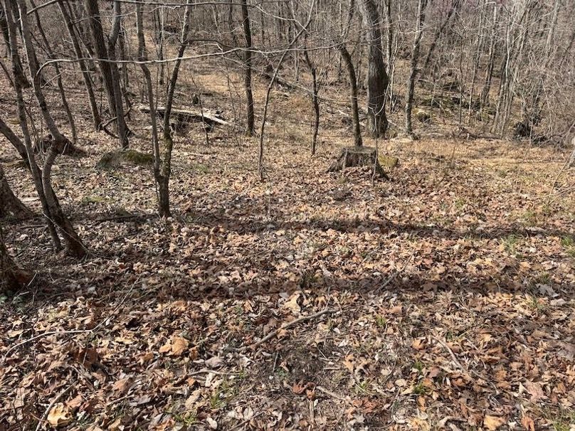 stone8020260306_0093