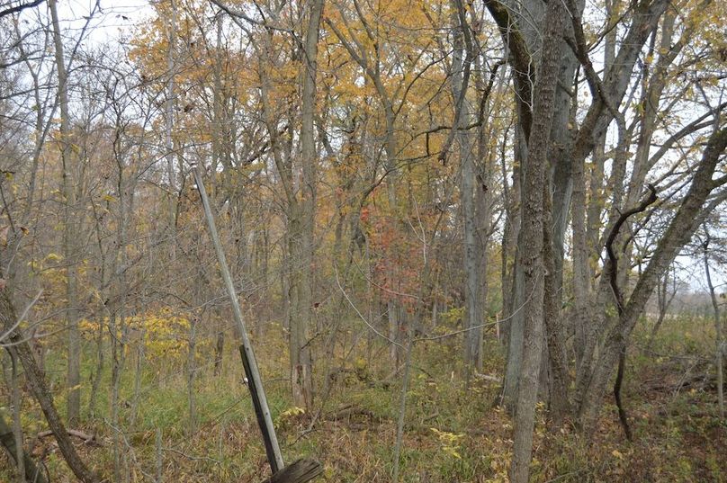 east property line looking north