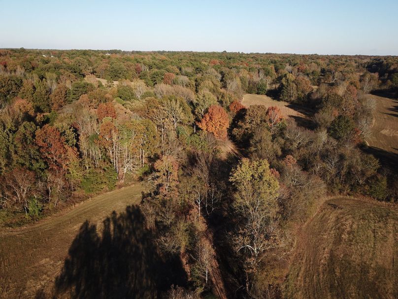 DJI_0079