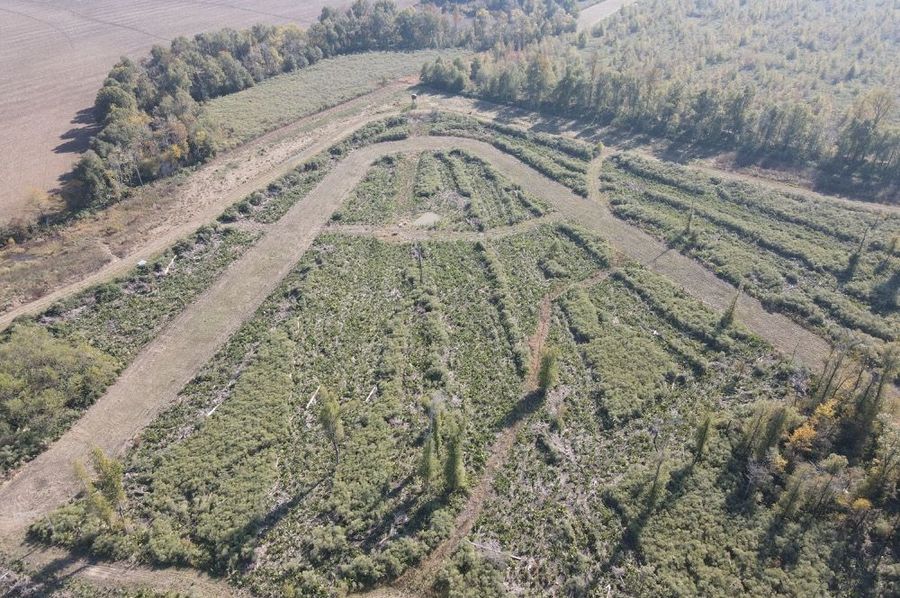 dji_fly_20241129_121932_383_1732904421940_photo