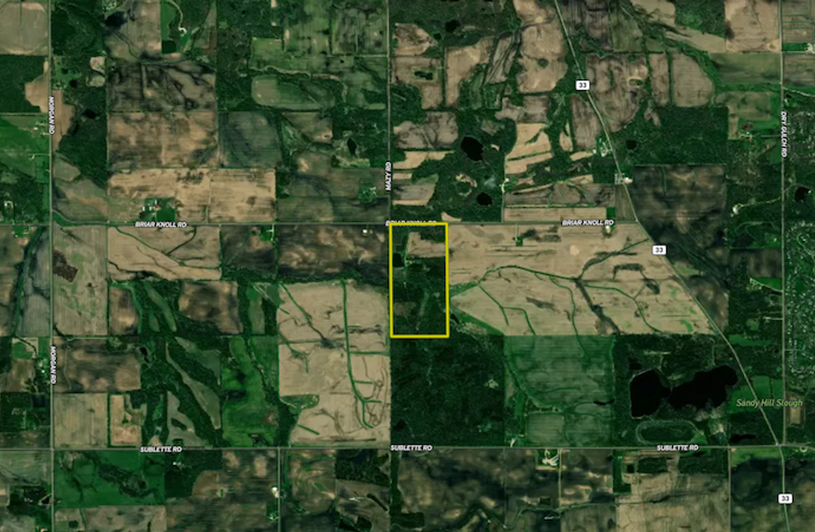 Screenshot 2026-02-10 at 4.07.07 PM