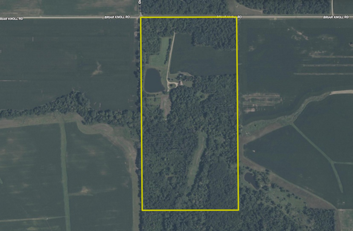 Screenshot 2026-02-10 at 4.06.45 PM