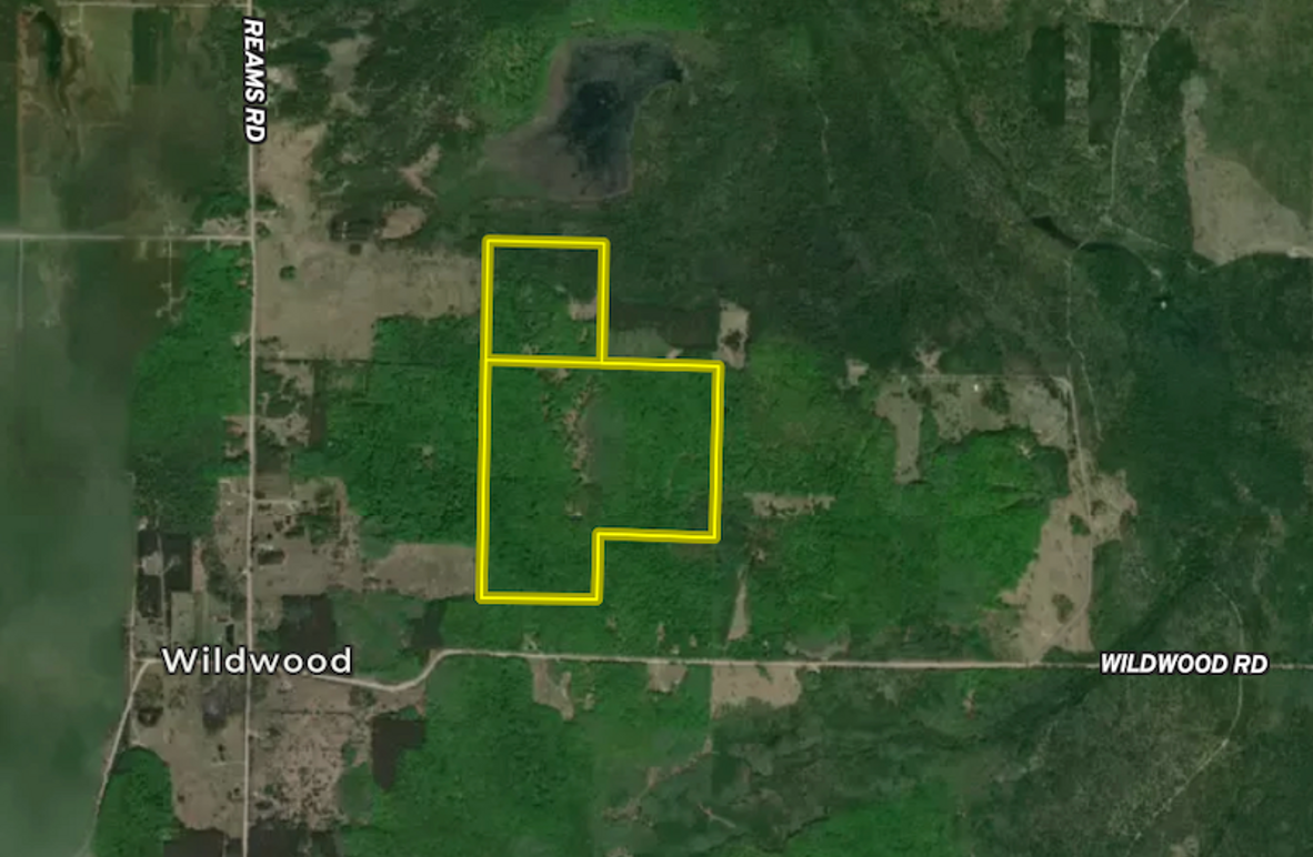 Screenshot 2025-11-12 at 5.29.28 PM