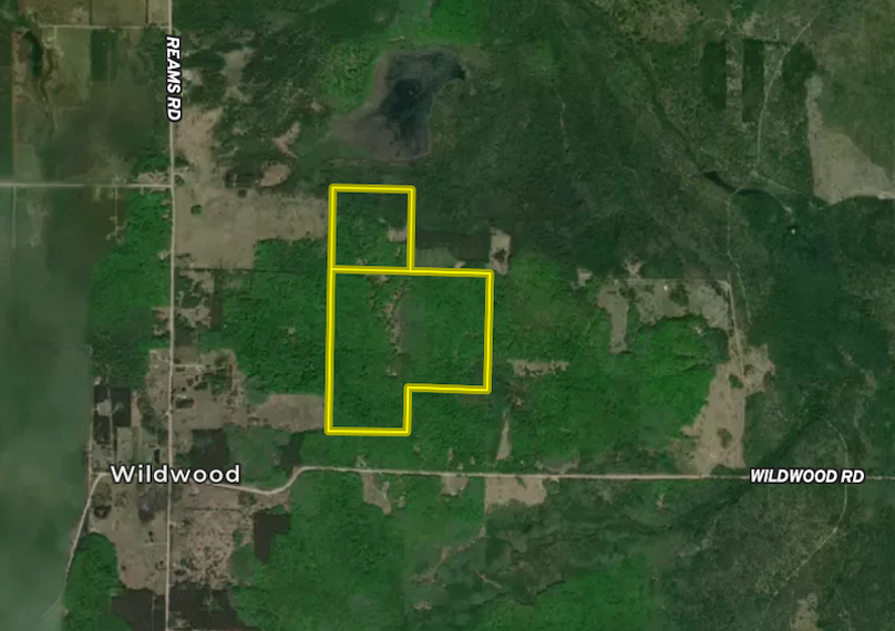 Screenshot 2025-11-12 at 5.29.28 PM