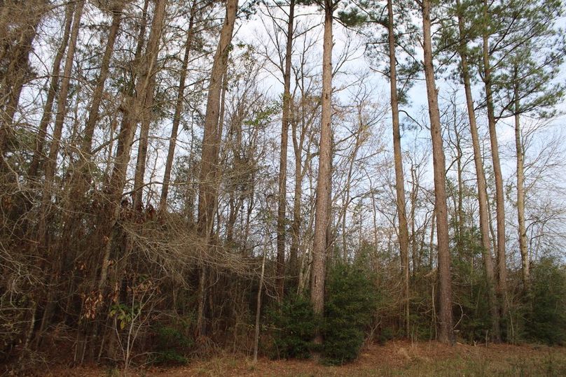 C0826DD6-3F53-420D-8D58-E17441897EB1_1_105_c