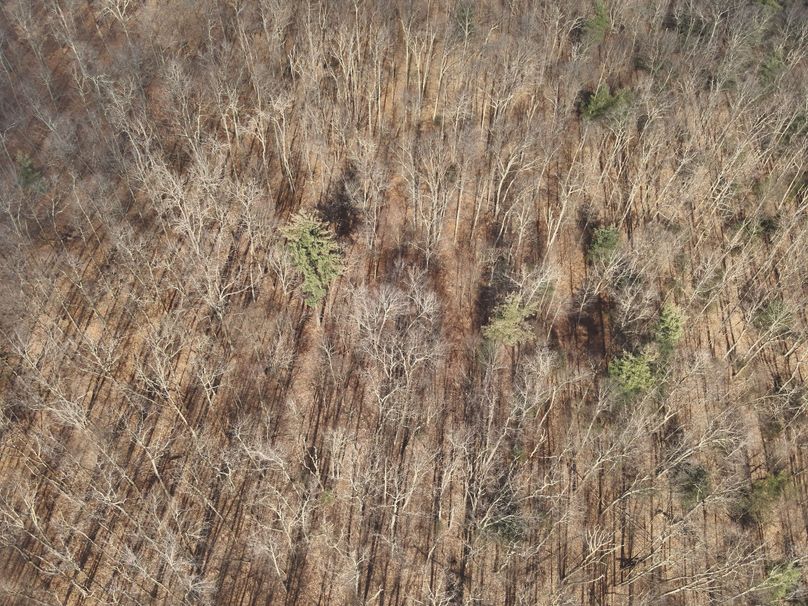 DJI_20231124123813_0012_V