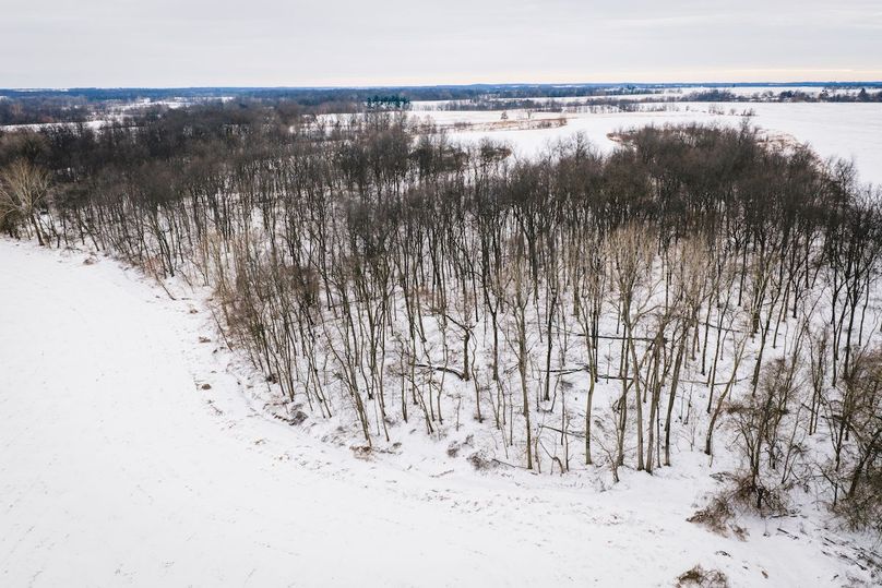 DJI_20260128163134_0547_D