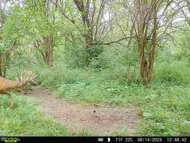 860322062166886-60-4-08142024124842-V-W1002371