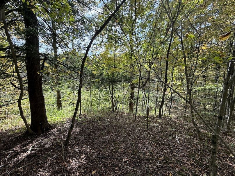 Tioga_30_Flanner Photo 31