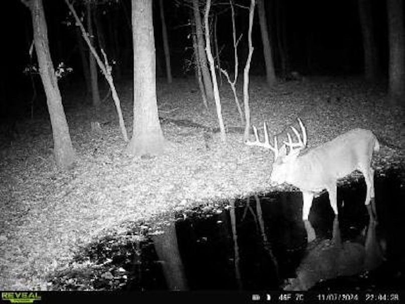 Sauk 174 Trailcam - 16