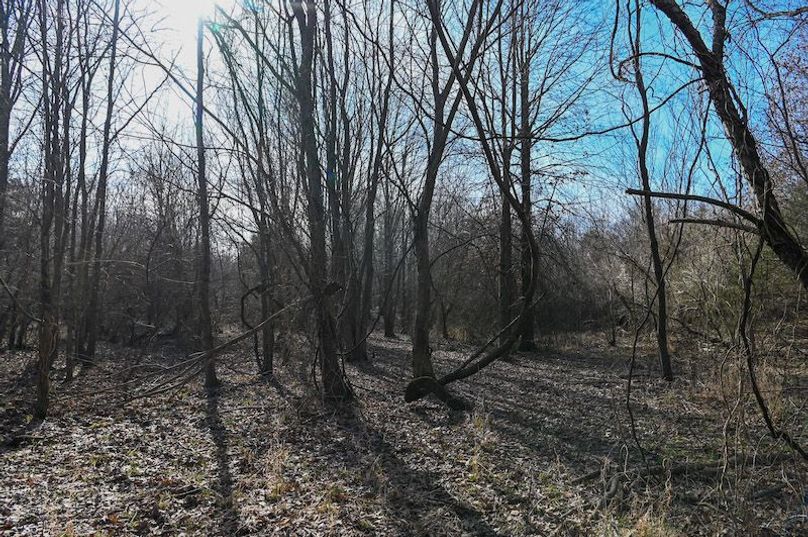 vandalia 450 (2)-1702