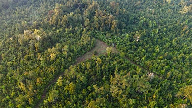 Madison Co - 40 - Clerk-06