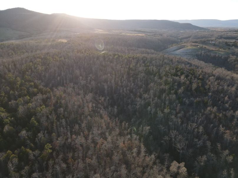 DJI_0318
