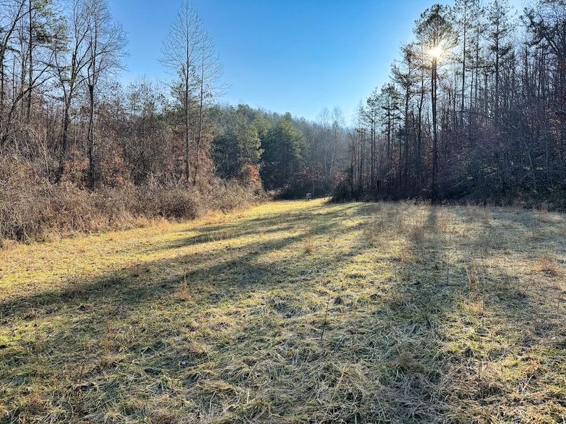 034 cool morning shot in the head of the valley