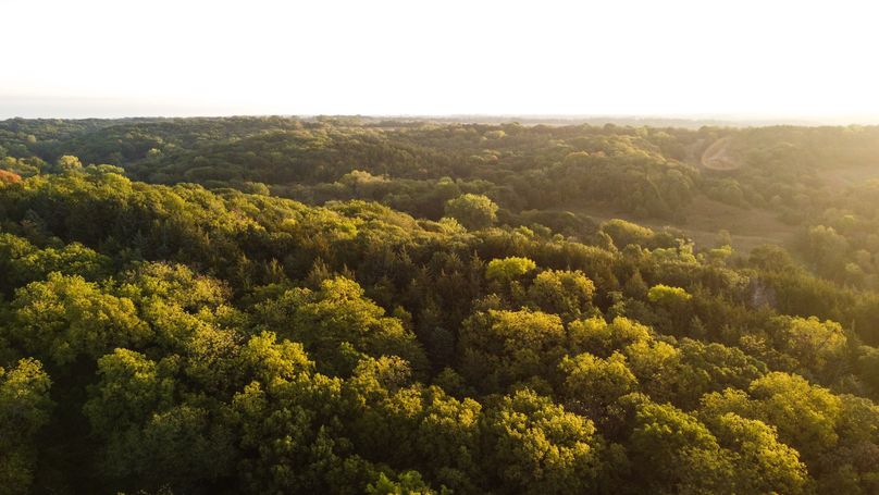 FREMONT CO. IA 158.32_101